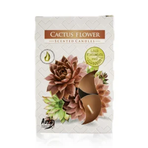 Cactus Flower duft fyrfadslys i pap emballage med påtrykt kaktus blomster