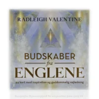 budskaber fra englene englekort i lyseblåt cover