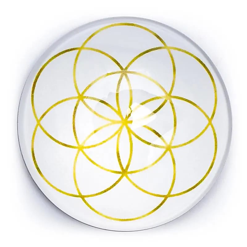 seed of life magnet I guld og hvid