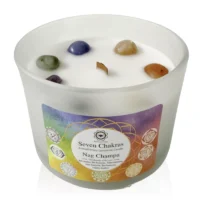 SevenChakrasNagChampa2