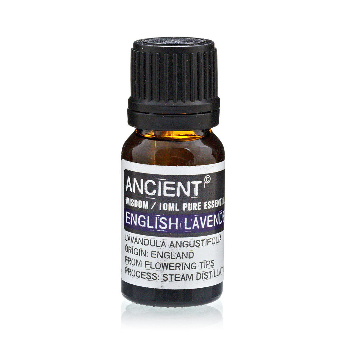 engelsk lavendel english lavender æterisk olie
