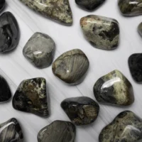 sølv blads jaspis krystal