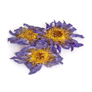hele tørrede blå lotus blomster