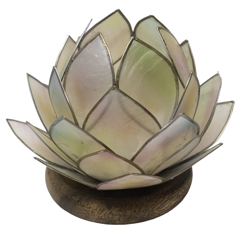 lotus lysestage på hvid baggrund