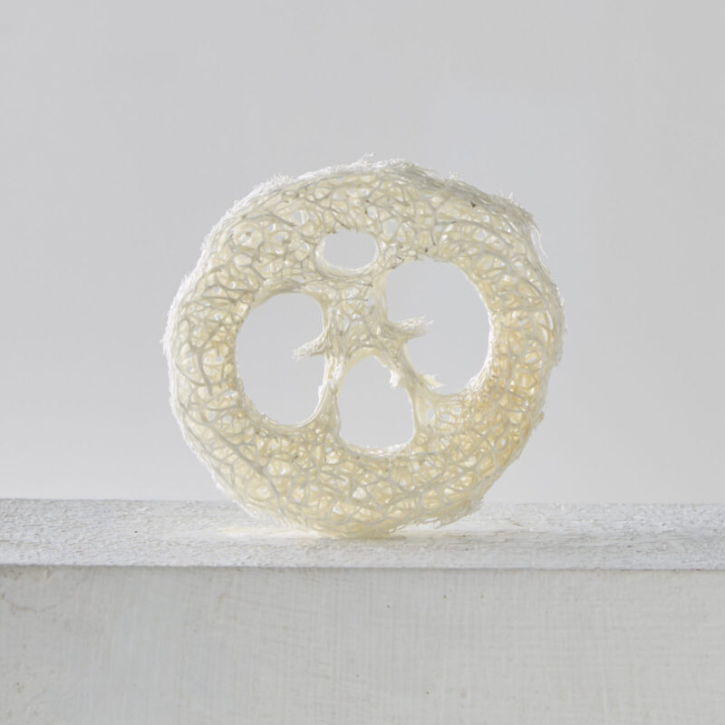 Kystnær Loofah Sæbeholder Packs