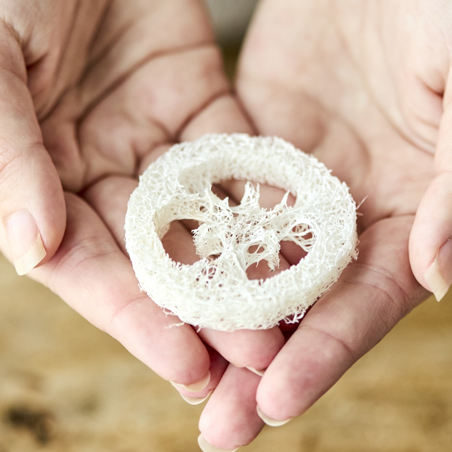 Kystnær Loofah Sæbeholder Packs