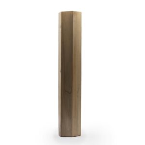 rain stick
