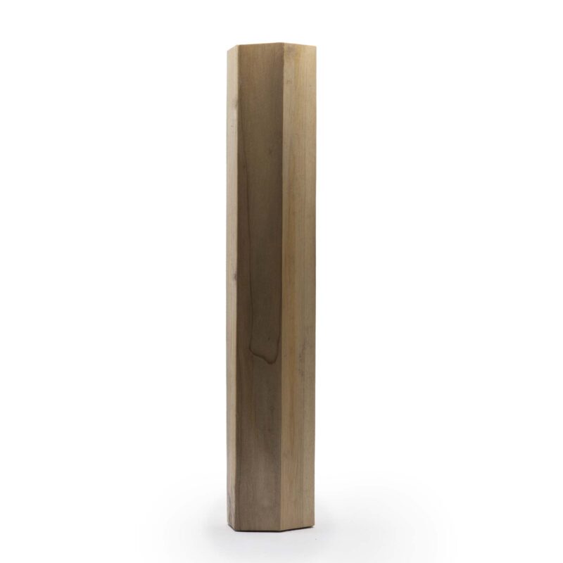 rain stick
